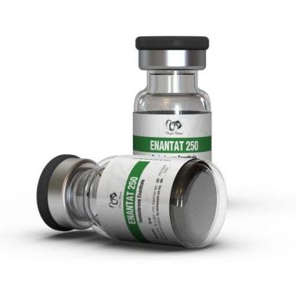 Enanthate  – 250mg – 10ml